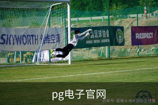 pg电子官网平台介绍图片